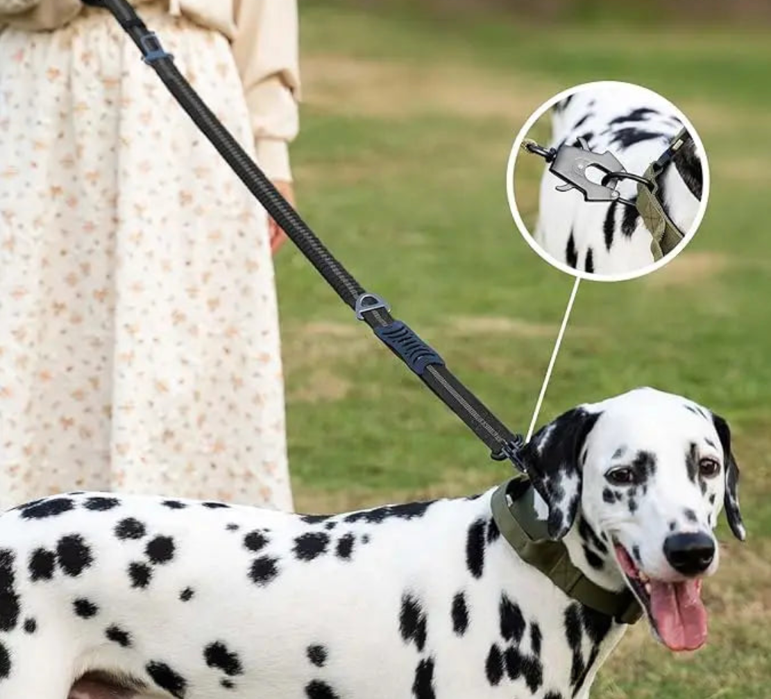 Laisse Élastique Réfléchissante avec Ceinture de Sécurité 🐾