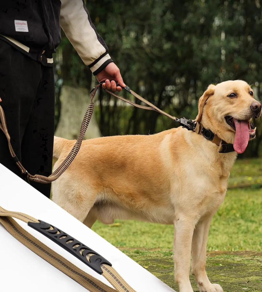 Laisse Élastique Réfléchissante avec Ceinture de Sécurité 🐾