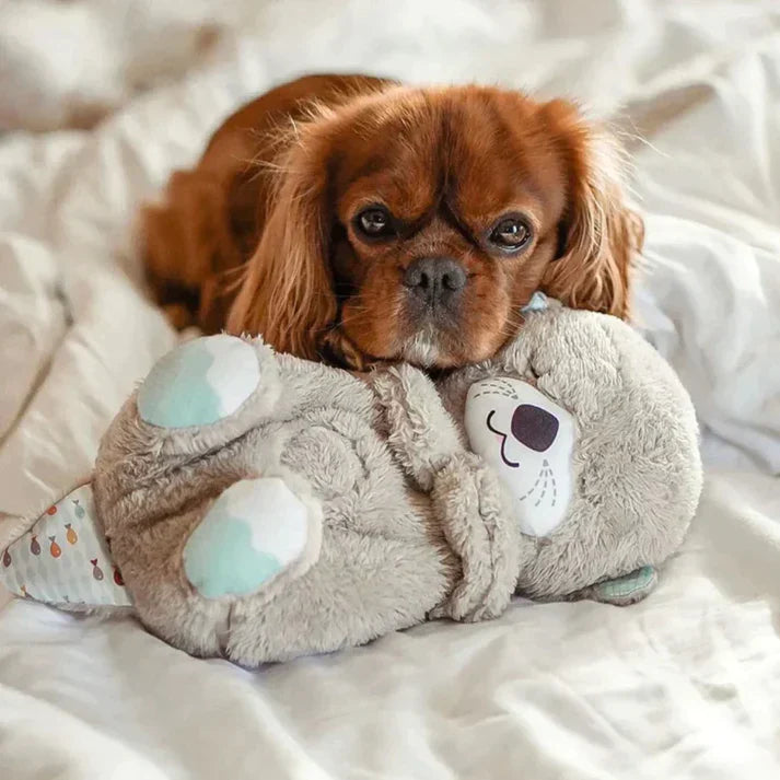 Peluche Loutre Qui Respire