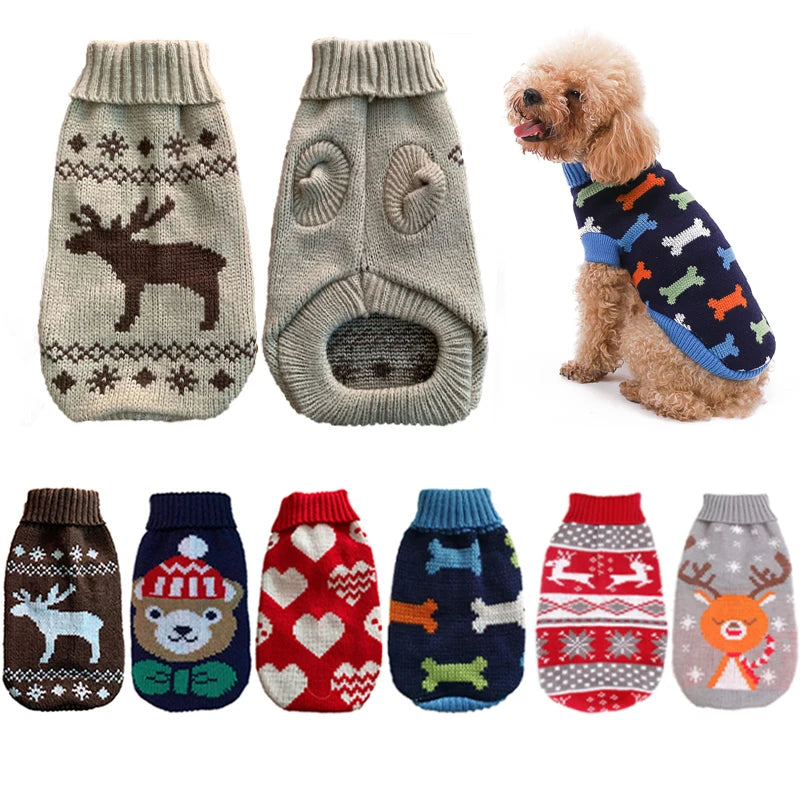 Pull en laine pour chiens