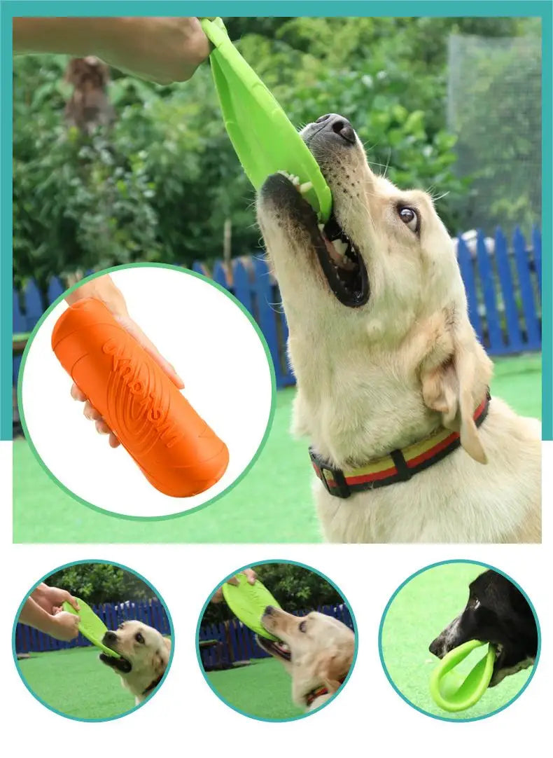 Frisbee pour chien