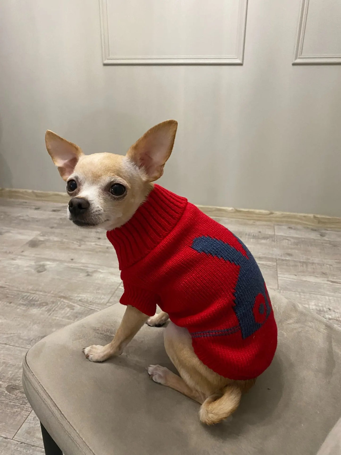 Pull en laine pour chiens