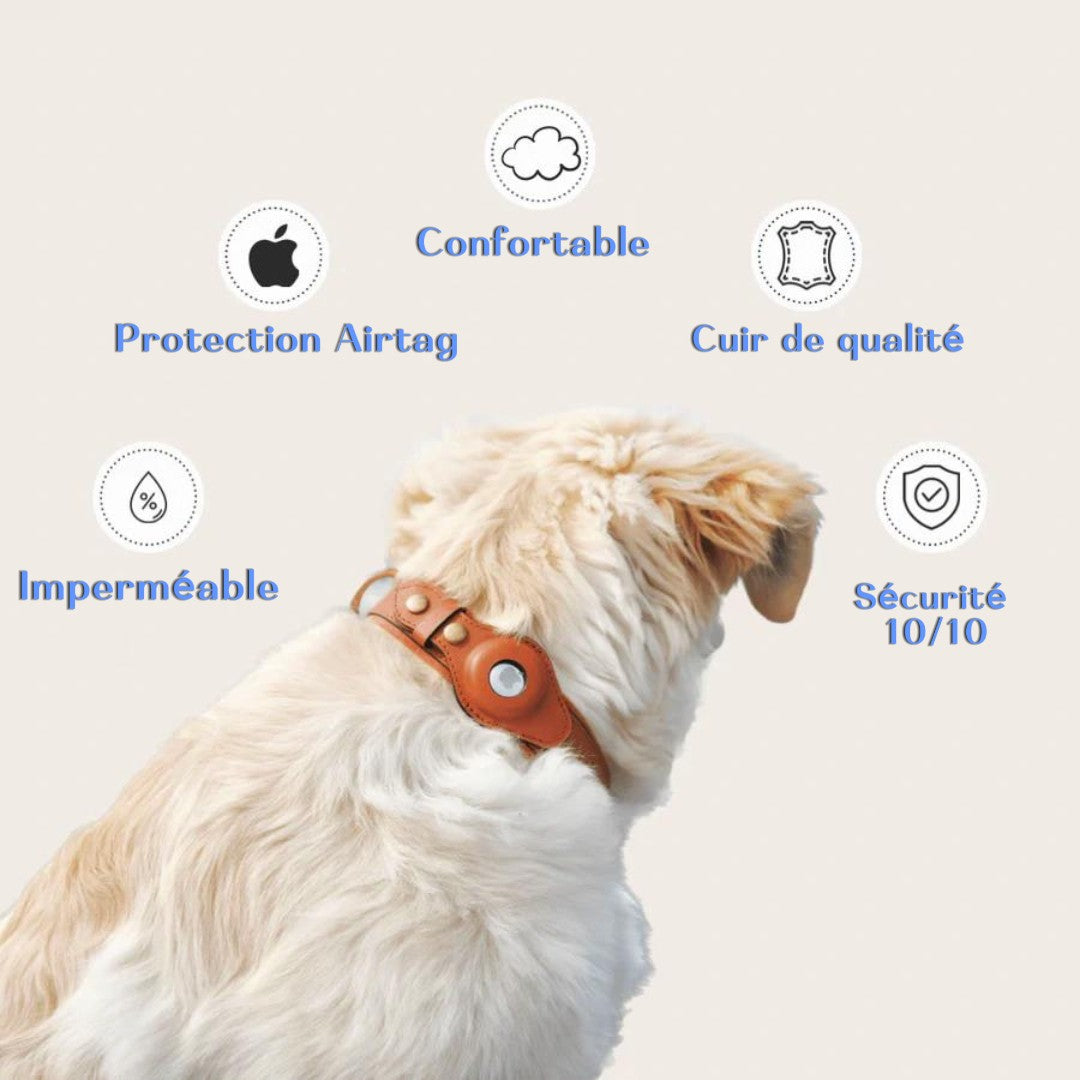 Collier en Cuir Résistant avec Support AirTag – Localisation GPS pour Chiens