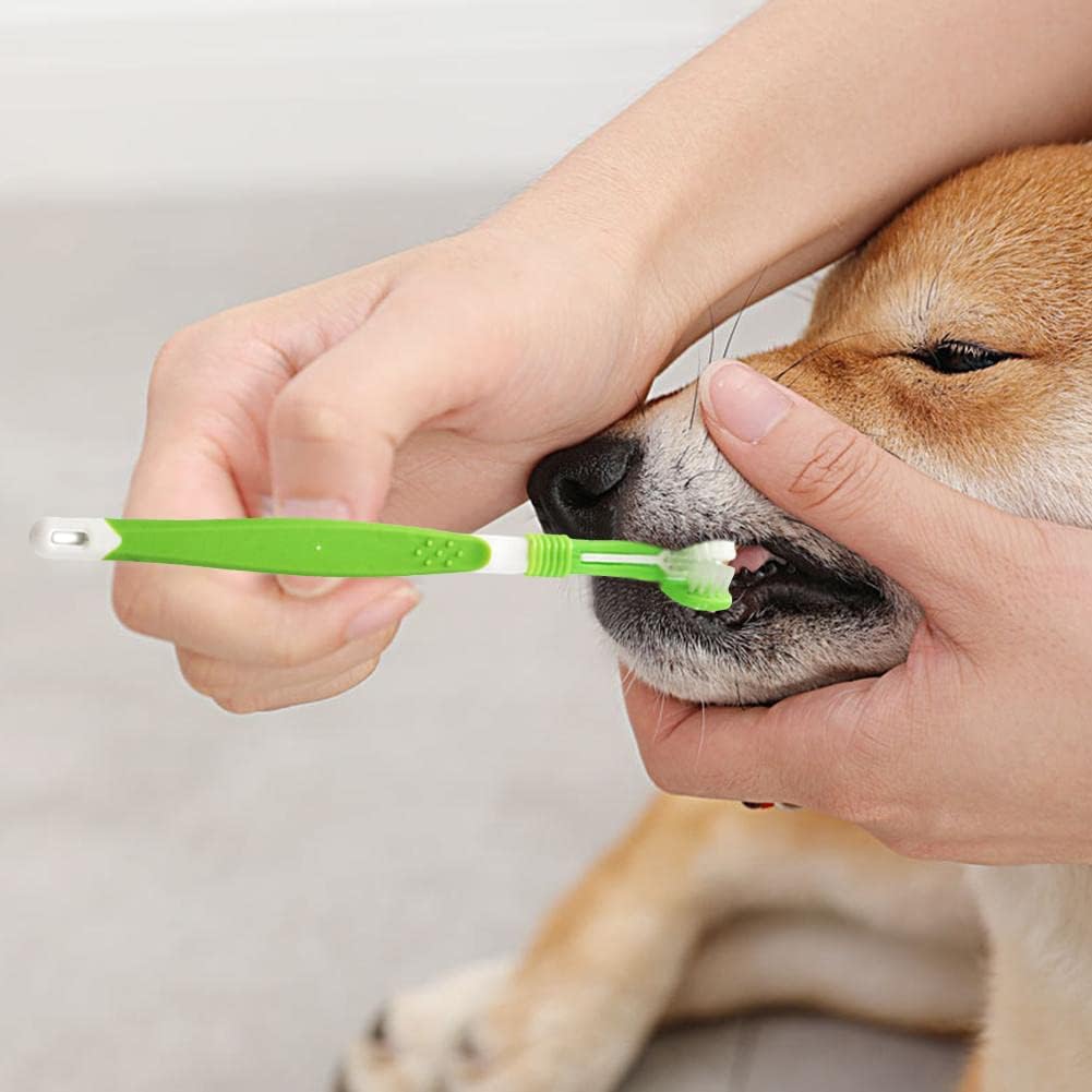 Brosse à Dent - Accessoire pour chien