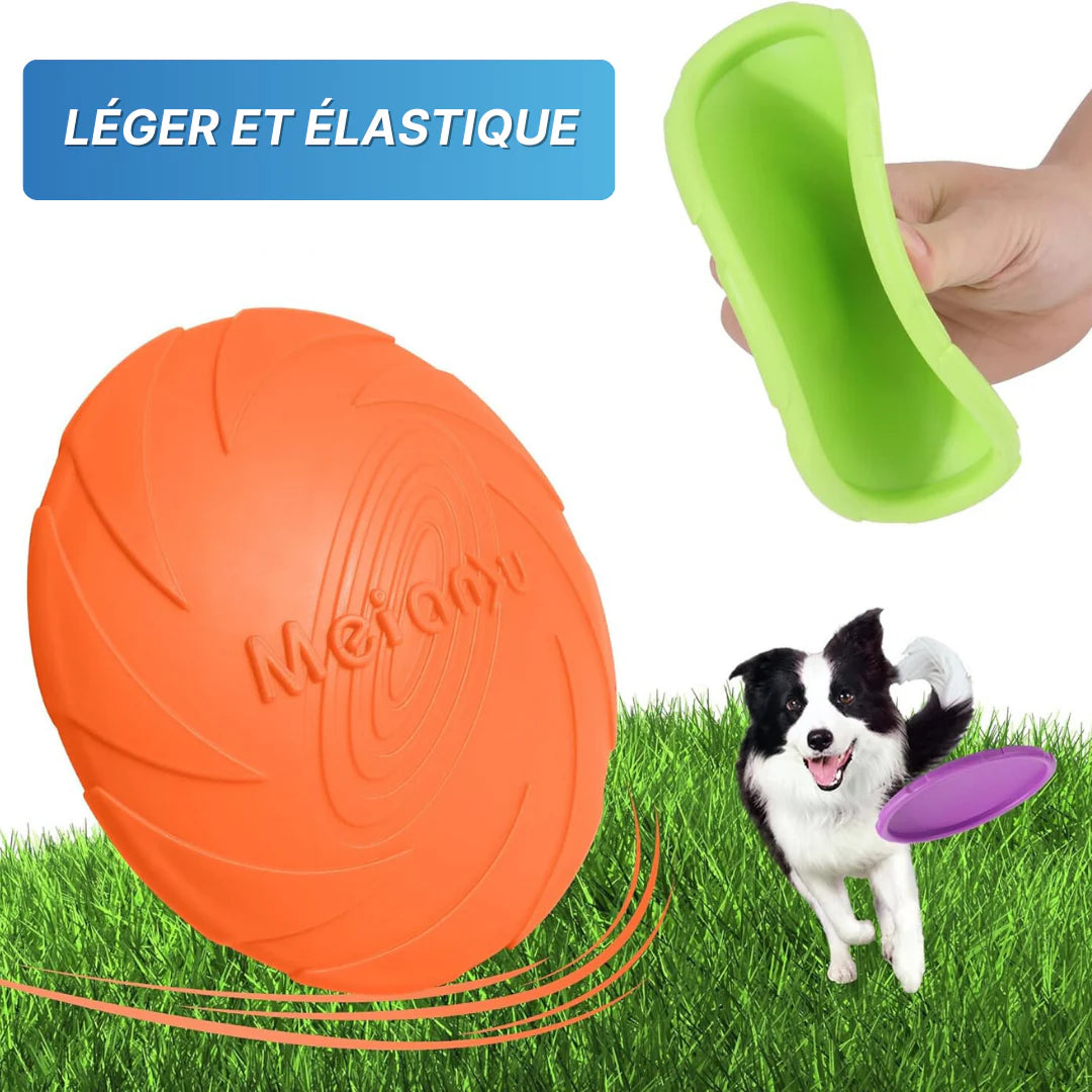 Frisbee pour chien