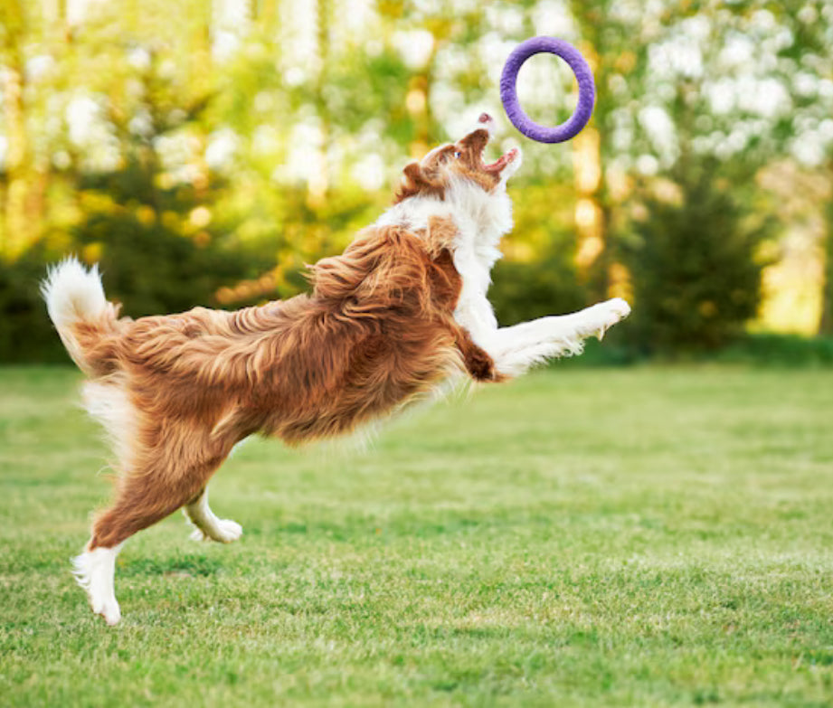 JOUETS