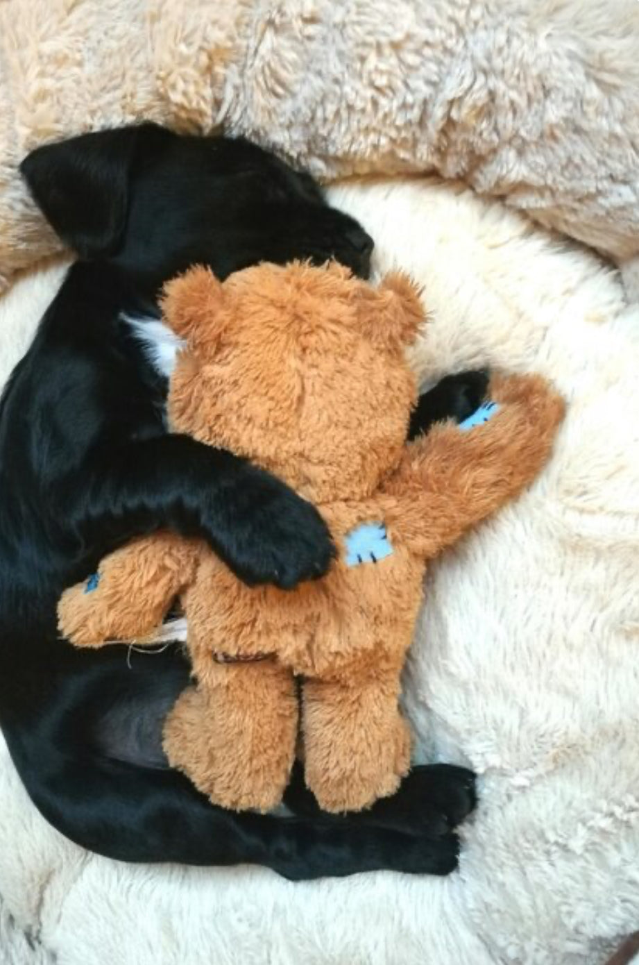 PELUCHES