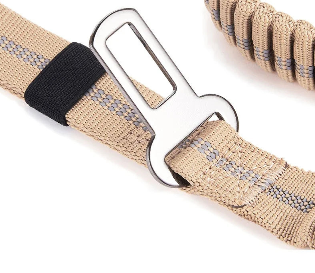 Laisse Élastique Réfléchissante avec Ceinture de Sécurité 🐾
