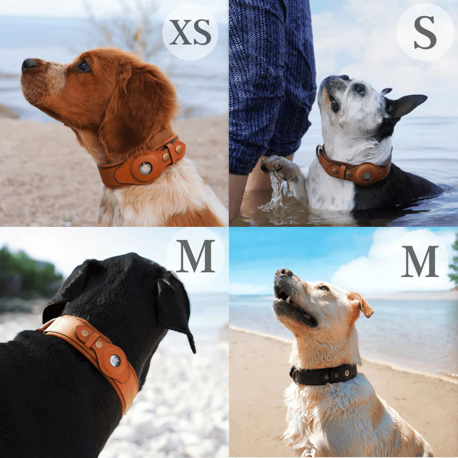 Collier en Cuir Résistant avec Support AirTag – Localisation GPS pour Chiens