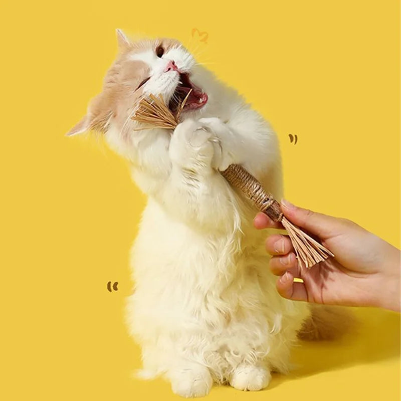 Jouet à mâcher naturel pour chat
