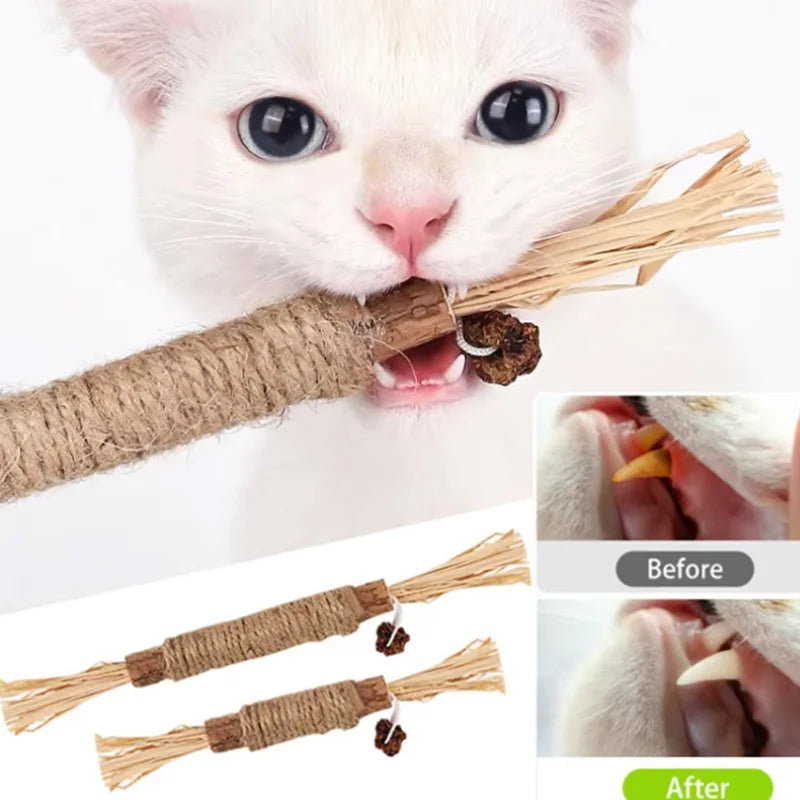 Jouet à mâcher naturel pour chat