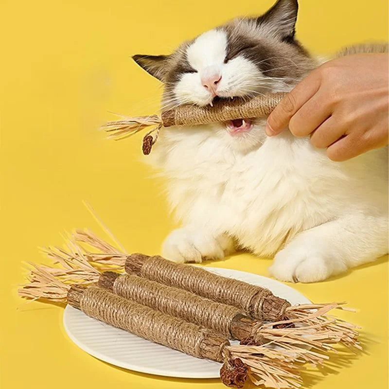 Jouet à mâcher naturel pour chat