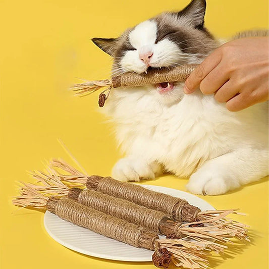 Jouet à mâcher naturel pour chat