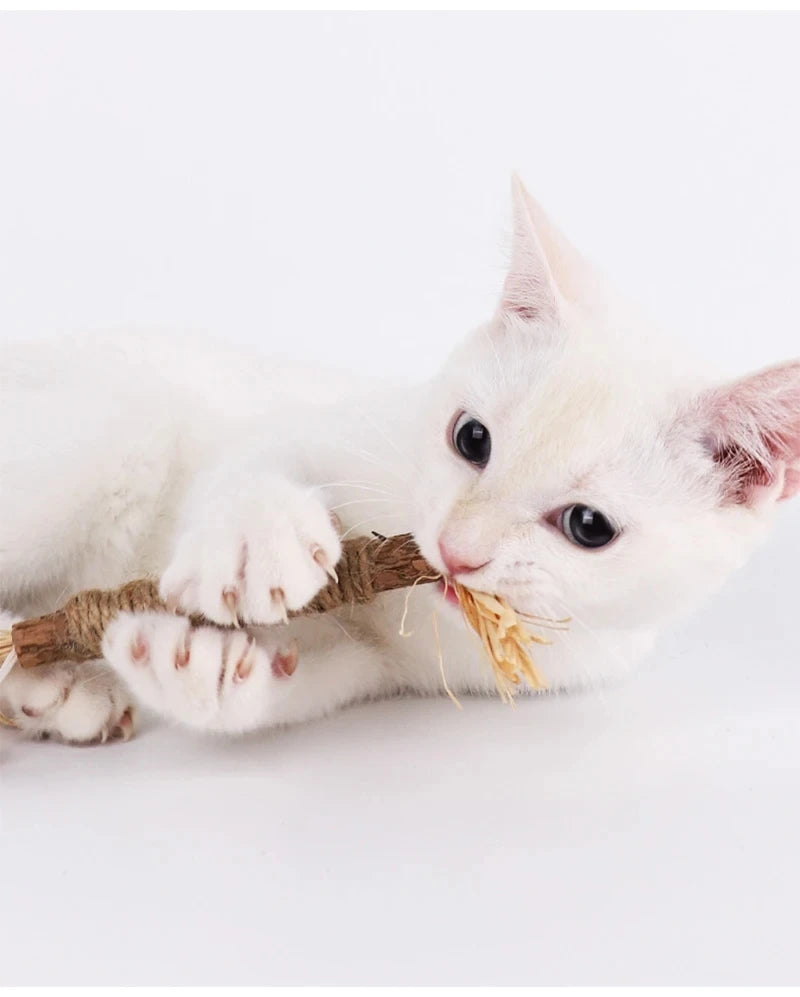 Jouet à mâcher naturel pour chat