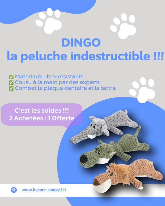 - DINGO -    La peluche indestructible