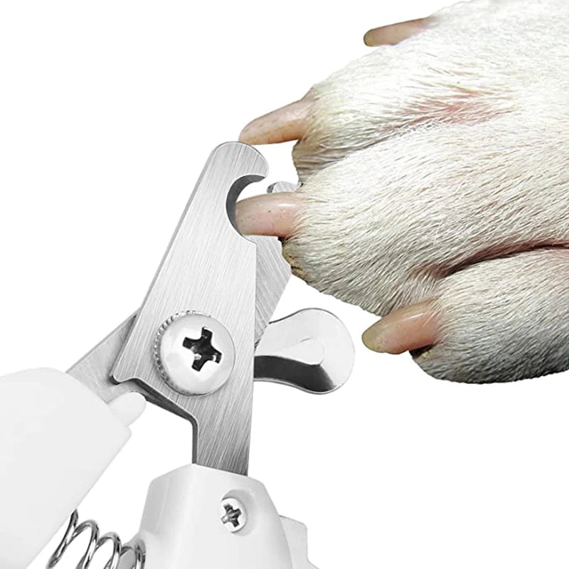 Coupe-ongles professionnel en acier inoxydable pour chiens et chats