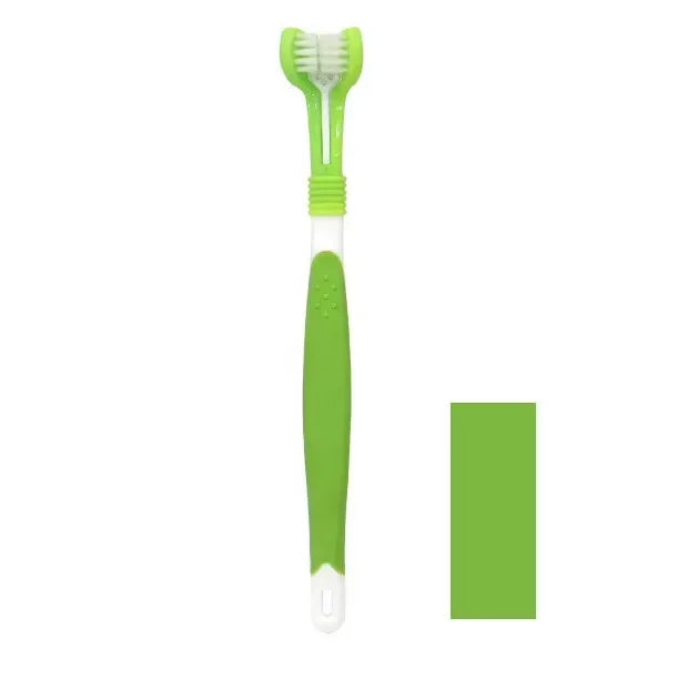 Brosse à Dent - Accessoire pour chien