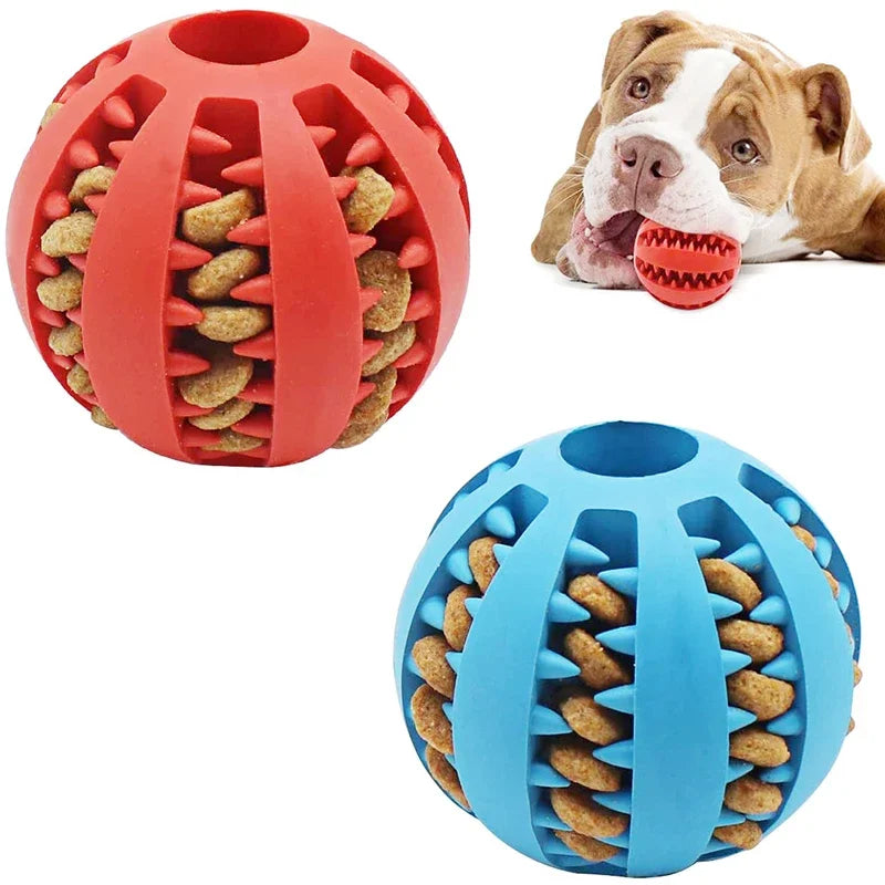 Balle a Friandise (Chien)