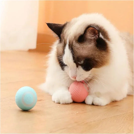 Balle Électronique pour Chat / Chien