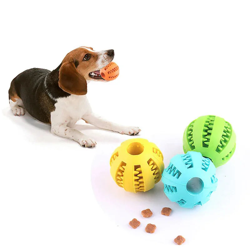 Balle a Friandise (Chien)