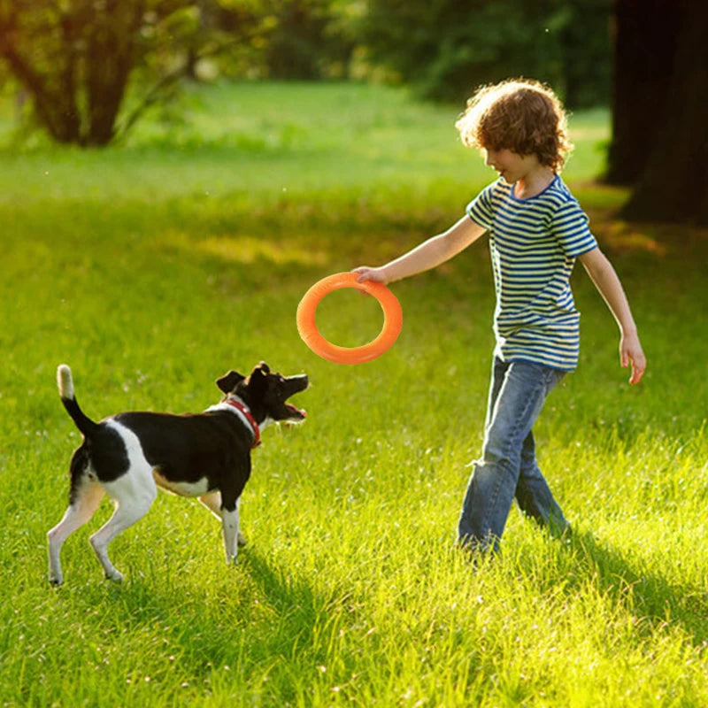 Anneau d'entrainement - Jouet pour chien -