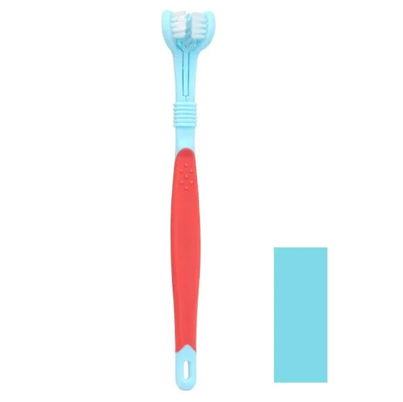 Brosse à Dent - Accessoire pour chien