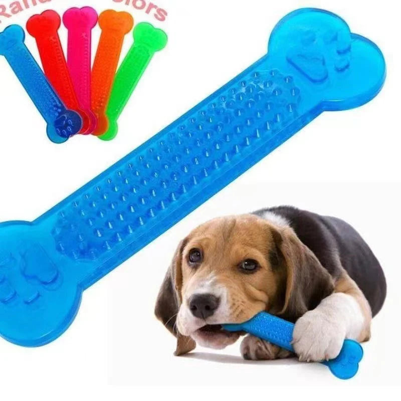 Jouet à Mâcher pour Chien
