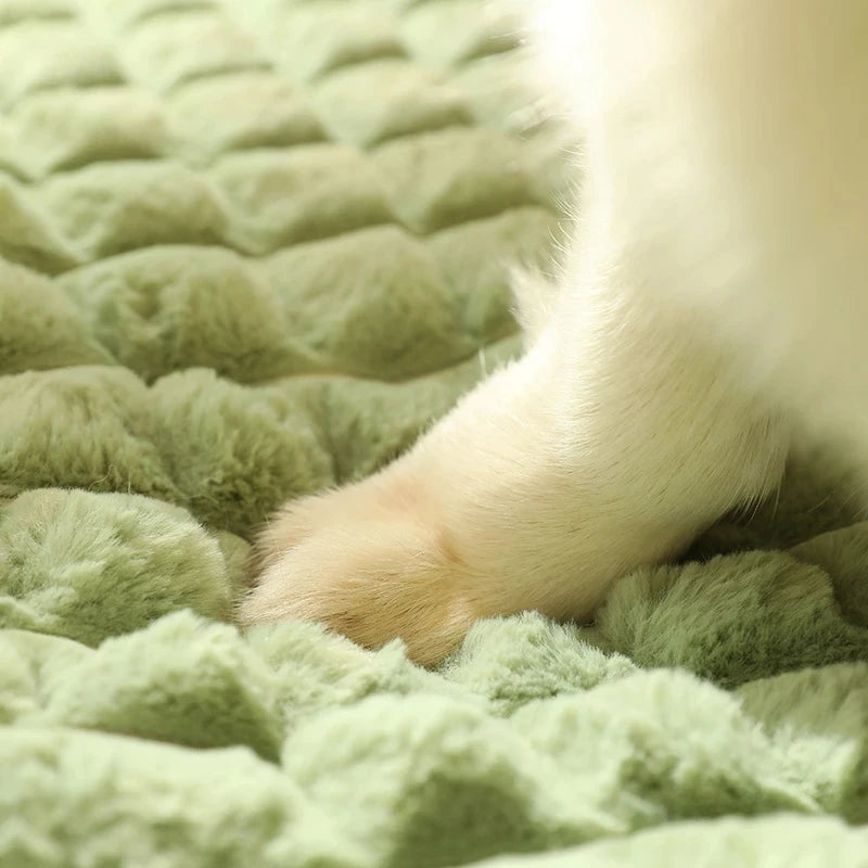 Sofa Douillet Hiver pour Animaux
