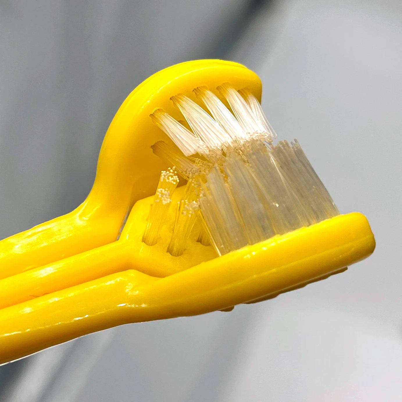 Brosse à Dent - Accessoire pour chien
