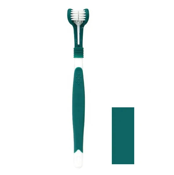 Brosse à Dent - Accessoire pour chien