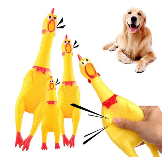 Poule Qui Couine