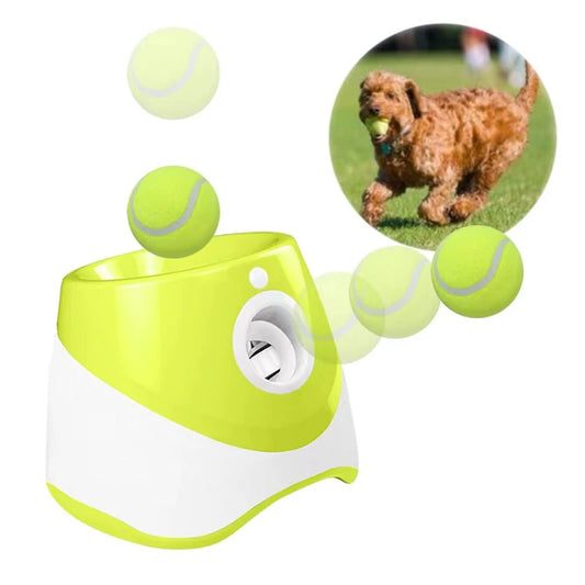Lanceur de Balle Automatique
