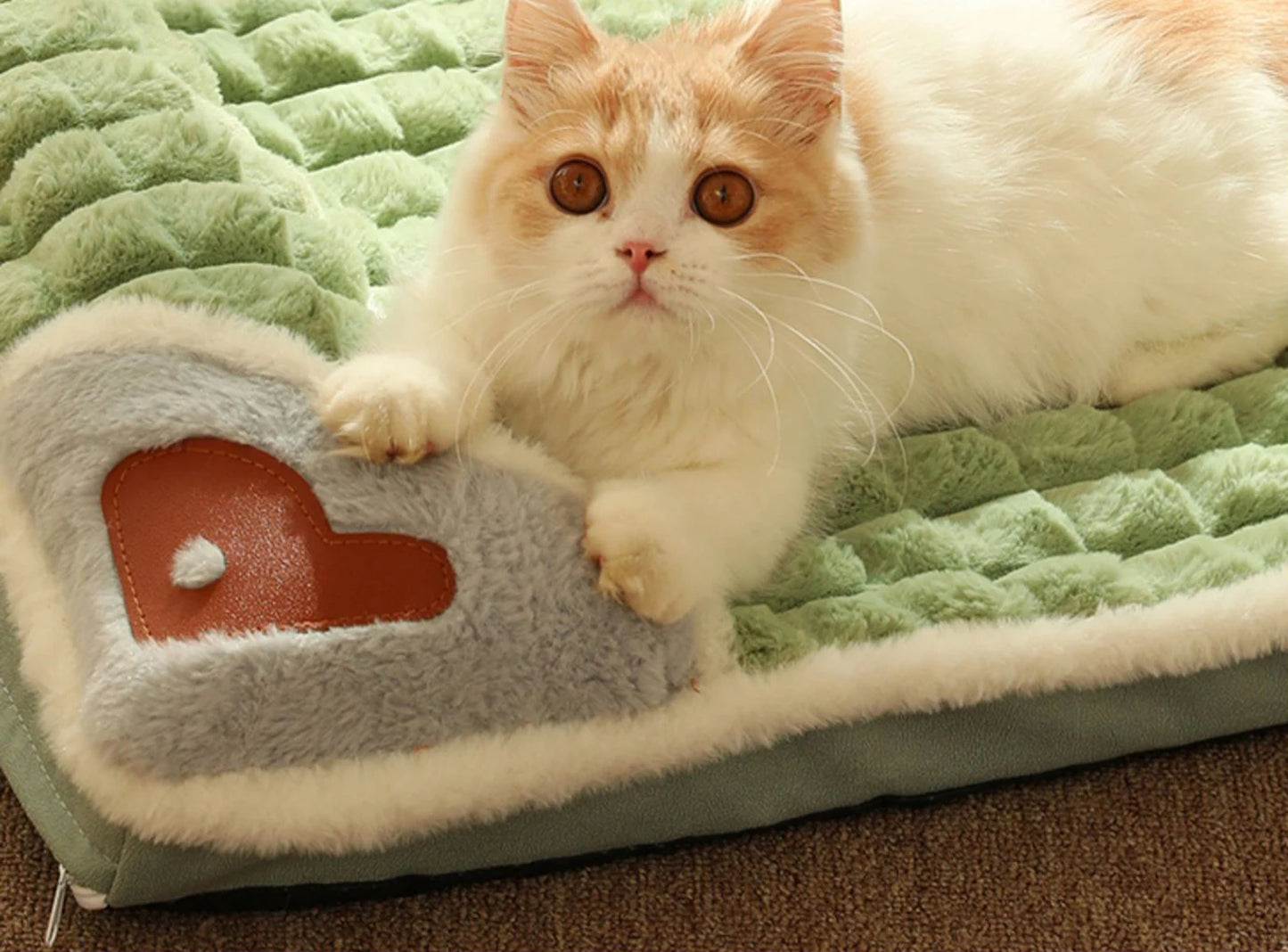 Sofa Douillet Hiver pour Animaux